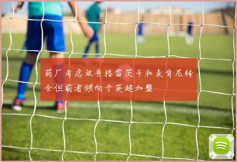 药厂考虑放弃格雷茨卡和麦肯尼转会但前者倾向于英超加盟