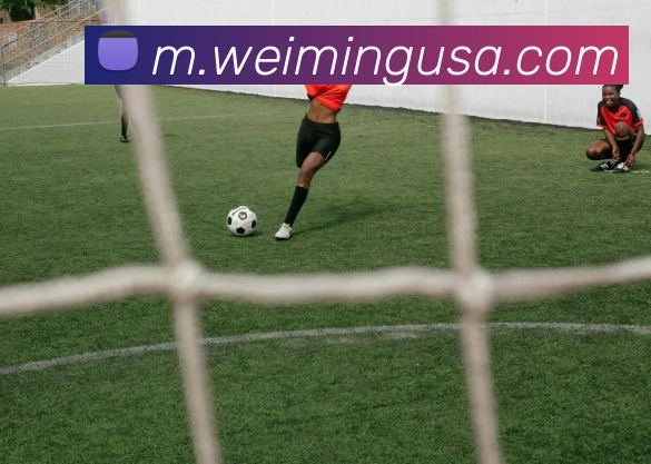 体育赛事直播